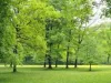 aree_verdi_thumbnail