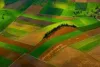agricole_art43_thumbnail